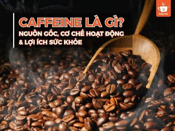 Caffeine là gì? Nguồn gốc, cơ chế hoạt động và lợi ích sức khỏe
