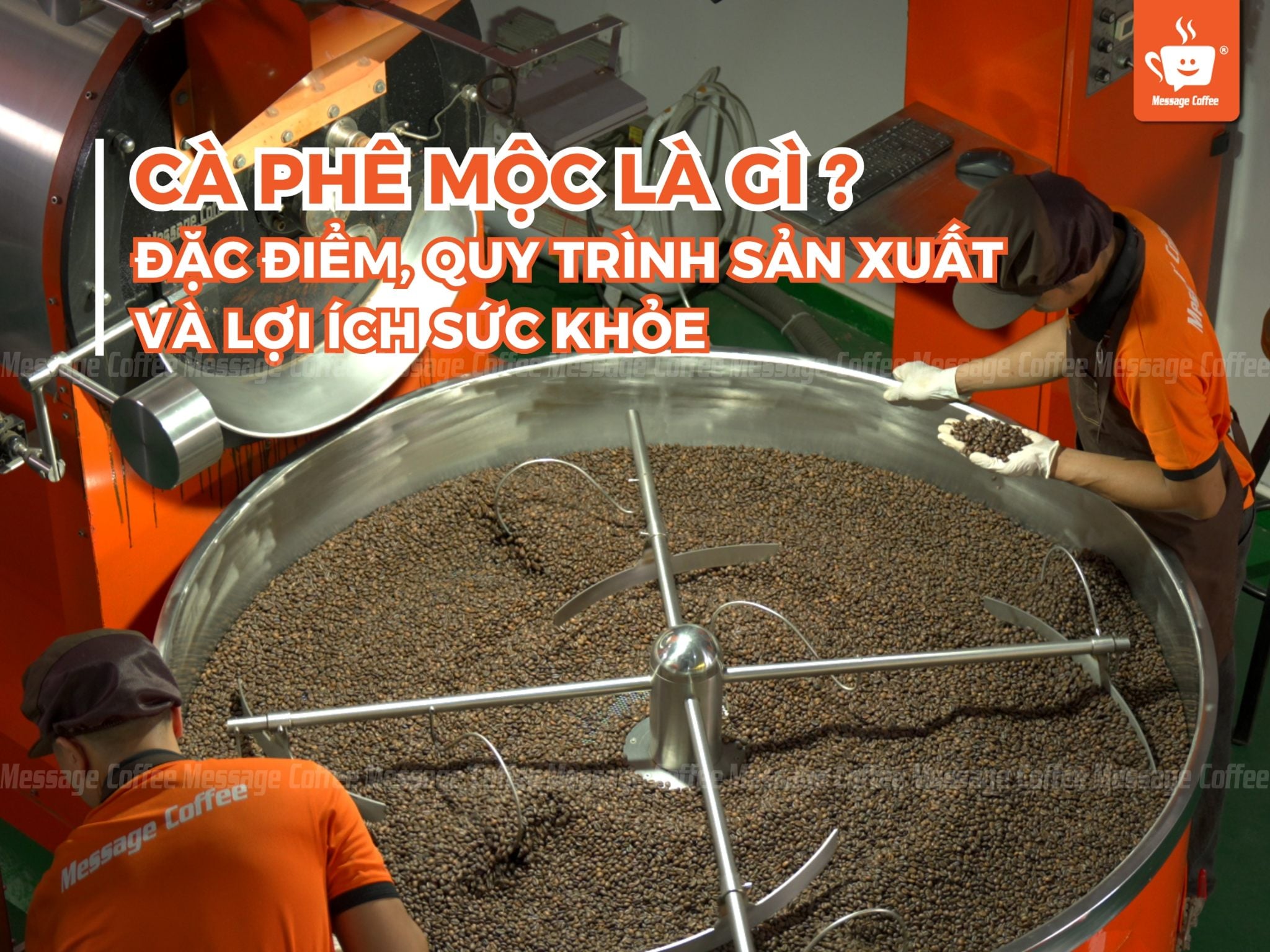 Cà phê mộc là gì? Đặc điểm nhận biết, quy trình sản xuất và lợi ích về sức khỏe