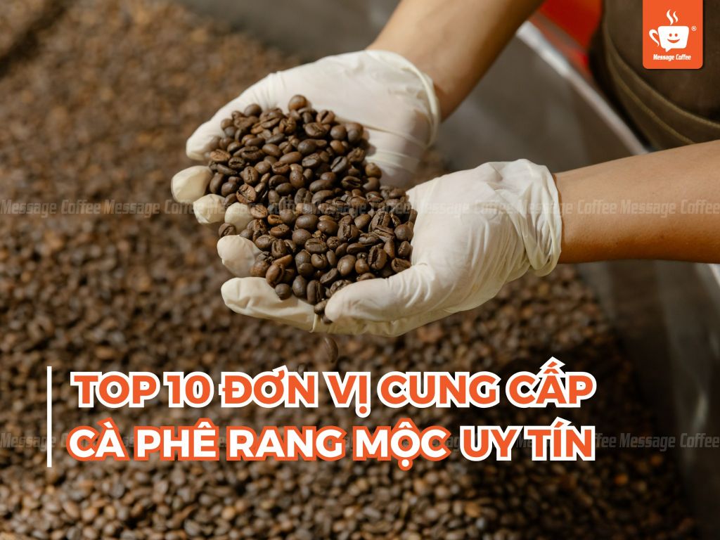 Top 10 đơn vị cung cấp cà phê mộc uy tín tại Việt Nam
