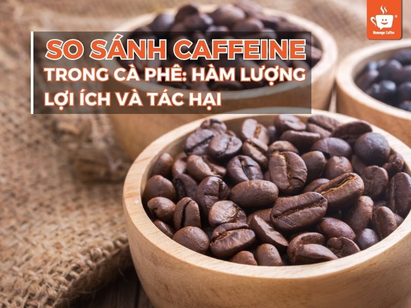 So sánh caffeine trong cà phê: Hàm lượng, lợi ích và tác hại