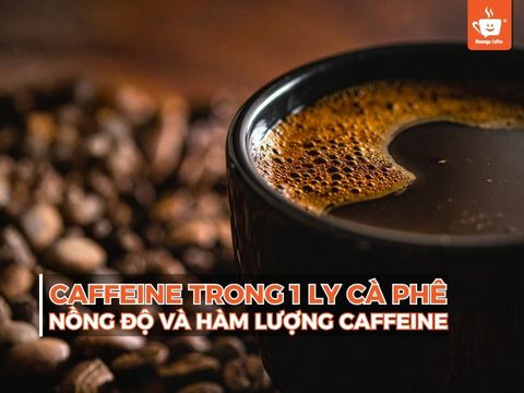 Caffeine trong 1 ly cà phê, nồng độ và hàm lượng cafein