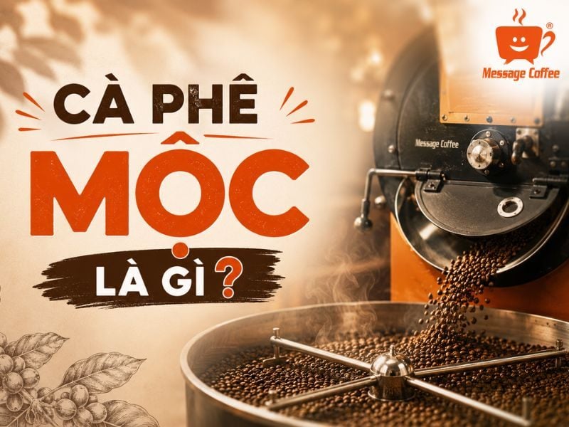 Cà Phê Mộc Là Gì?