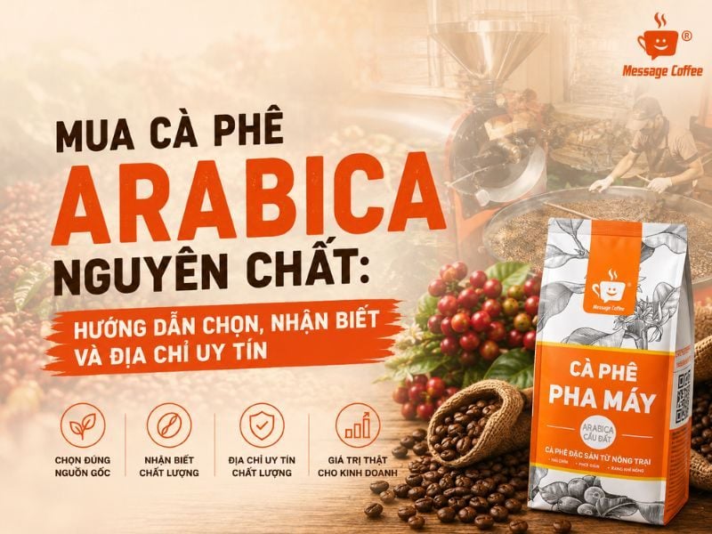 Mua Cà Phê Arabica Nguyên Chất Ở Đâu? Cách Nhận Biết Và Địa Chỉ Uy Tín