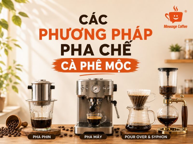Các Phương Pháp Pha Chế Cà Phê Mộc