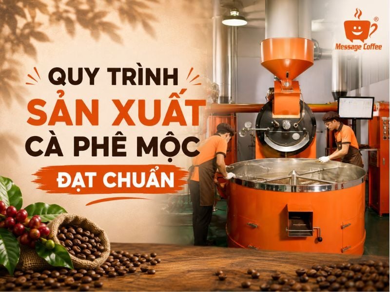 Quy Trình Sản Xuất Cà Phê Mộc Đạt Chuẩn