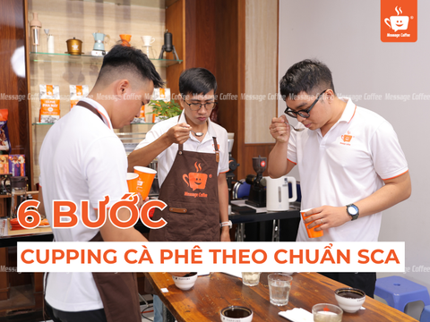 6 Bước Cupping Cà Phê Theo Tiêu Chuẩn SCA: Hướng Dẫn Cho Người Mới