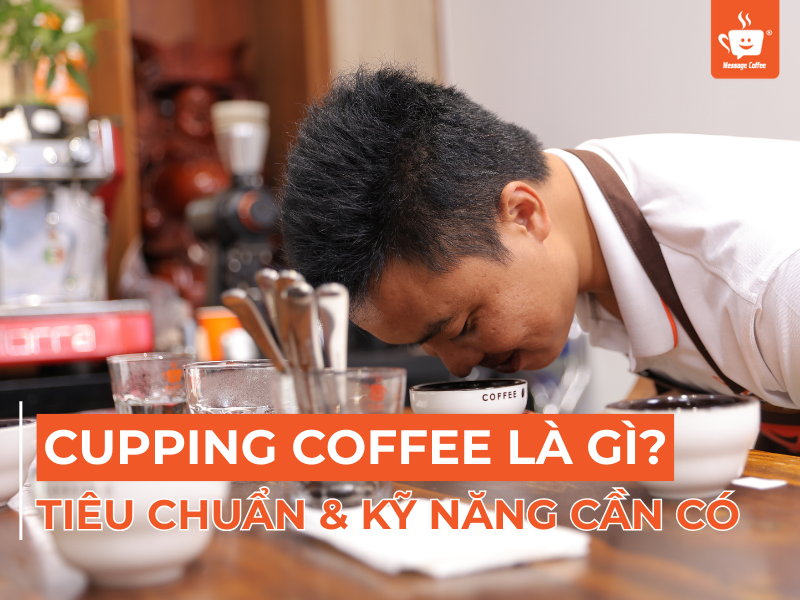 Cupping Coffee Là Gì? Tiêu Chuẩn & Kỹ Năng Cần Có Trong Cupping Coffee