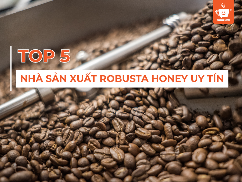 TOP 5 Nhà Sản Xuất Robusta Honey Uy Tín - Tiêu Chí Đánh Giá & Lợi Ích Khi Chọn Đối Tác Chất Lượng