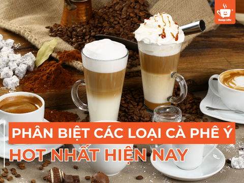 Cách Phân Biệt Các Loại Cà Phê Ý Hot Nhất Hiện Nay