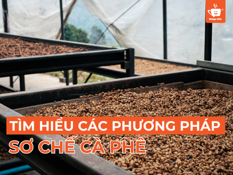 Phương Pháp Sơ Chế Cà Phê: Tìm Hiểu Về Các Kỹ Thuật Phổ Biến Nhất Hiện Nay
