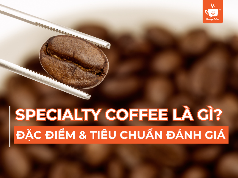 Specialty Coffee Là Gì? Định Nghĩa, Đặc Điểm Và Tiêu Chuẩn Của Cà Phê Đặc Sản