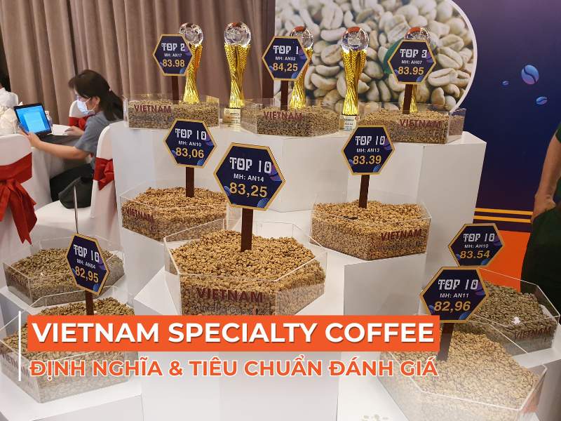 Vietnam Specialty Coffee: Định Nghĩa, Tiêu Chuẩn Đánh Giá & Đặc Điểm Nổi Bật
