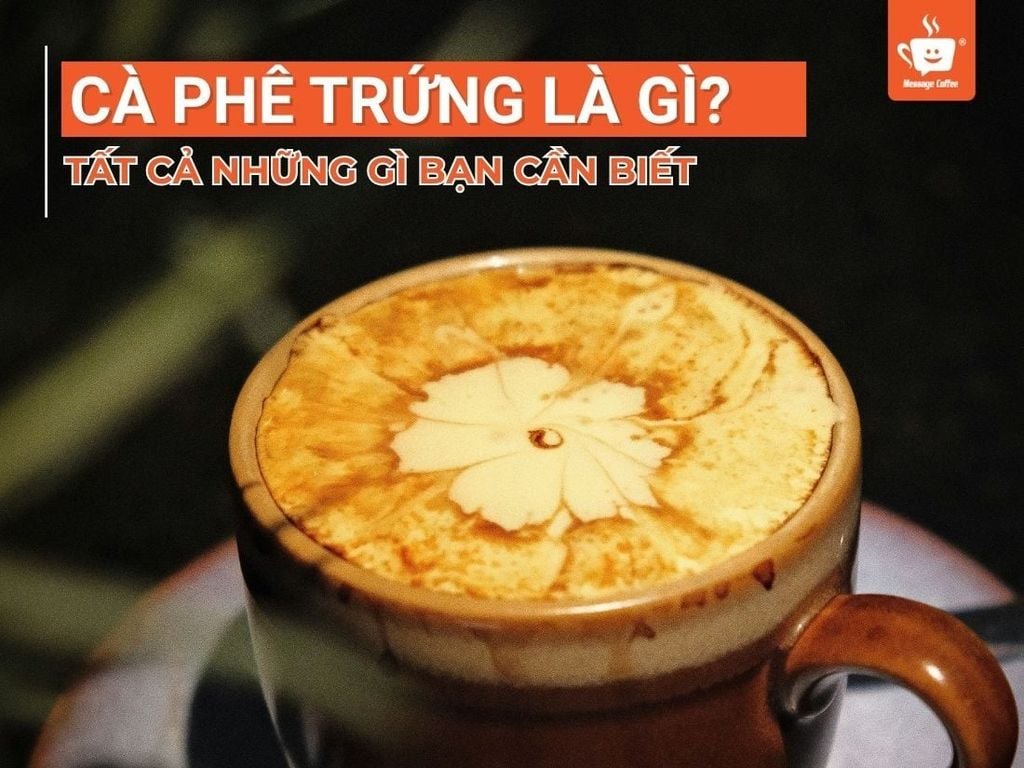 Cà Phê Trứng Là Gì? Tất Cả Những Gì Bạn Cần Biết