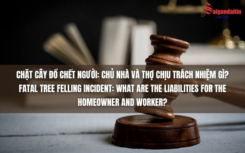 CHẶT CÂY ĐỔ CHẾT NGƯỜI: CHỦ NHÀ VÀ THỢ CHỊU TRÁCH NHIỆM GÌ?