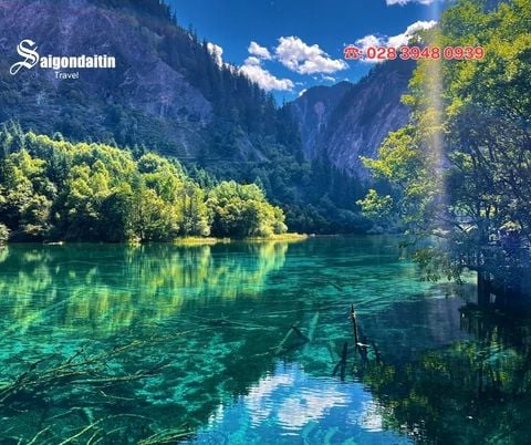 Du lịch Cửu Trại Câu – Thiên đường hạ giới giữa lòng Tứ Xuyên | Kinh nghiệm & lịch trình chi tiết 2025