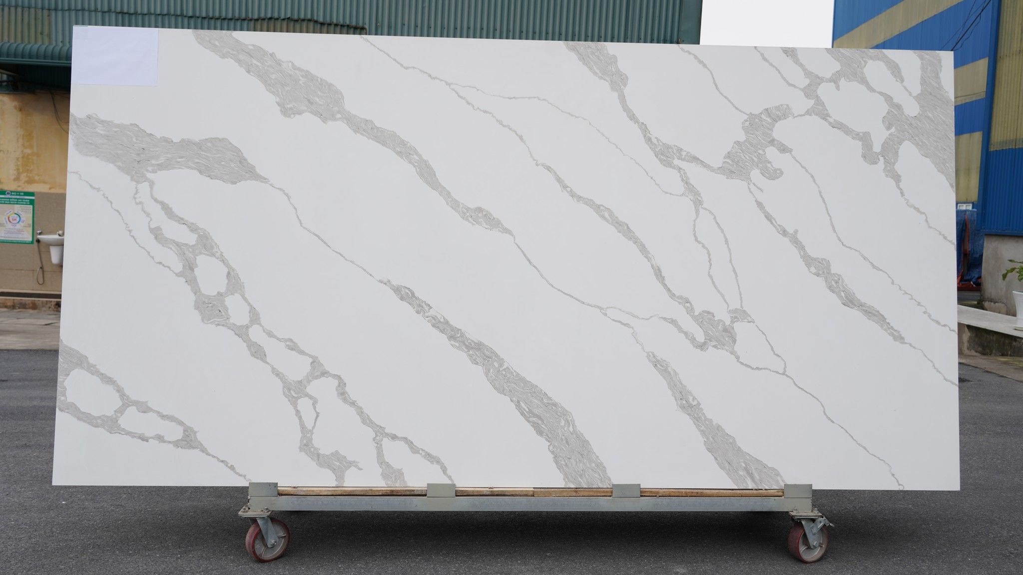 calacata wood