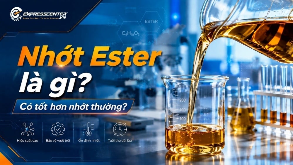 Nhớt Ester là gì? Có tốt hơn dầu nhớt thông thường?