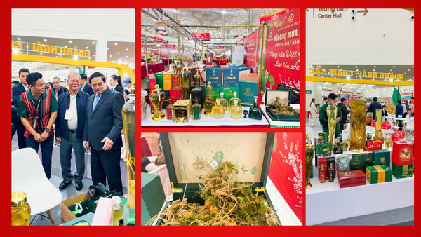 Đưa Sâm Ngọc Linh Tu Mơ Rông Kon Tum ra “sân chơi lớn” của Hội chợ Quốc gia Mùa Xuân 2026