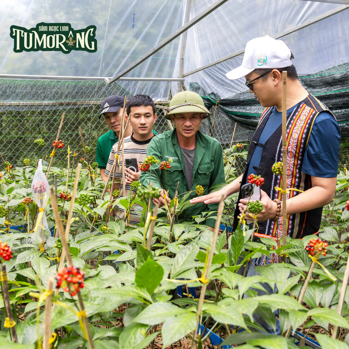 Pseudoginsenoside RT4: Tấm Khiên Vững Chắc Bảo Vệ Não Bộ và Hệ Thần Kinh Từ Sâm Ngọc Linh