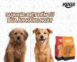 Chăm sóc hệ tiêu hóa – Bí quyết để thú cưng khỏe mạnh dài lâu