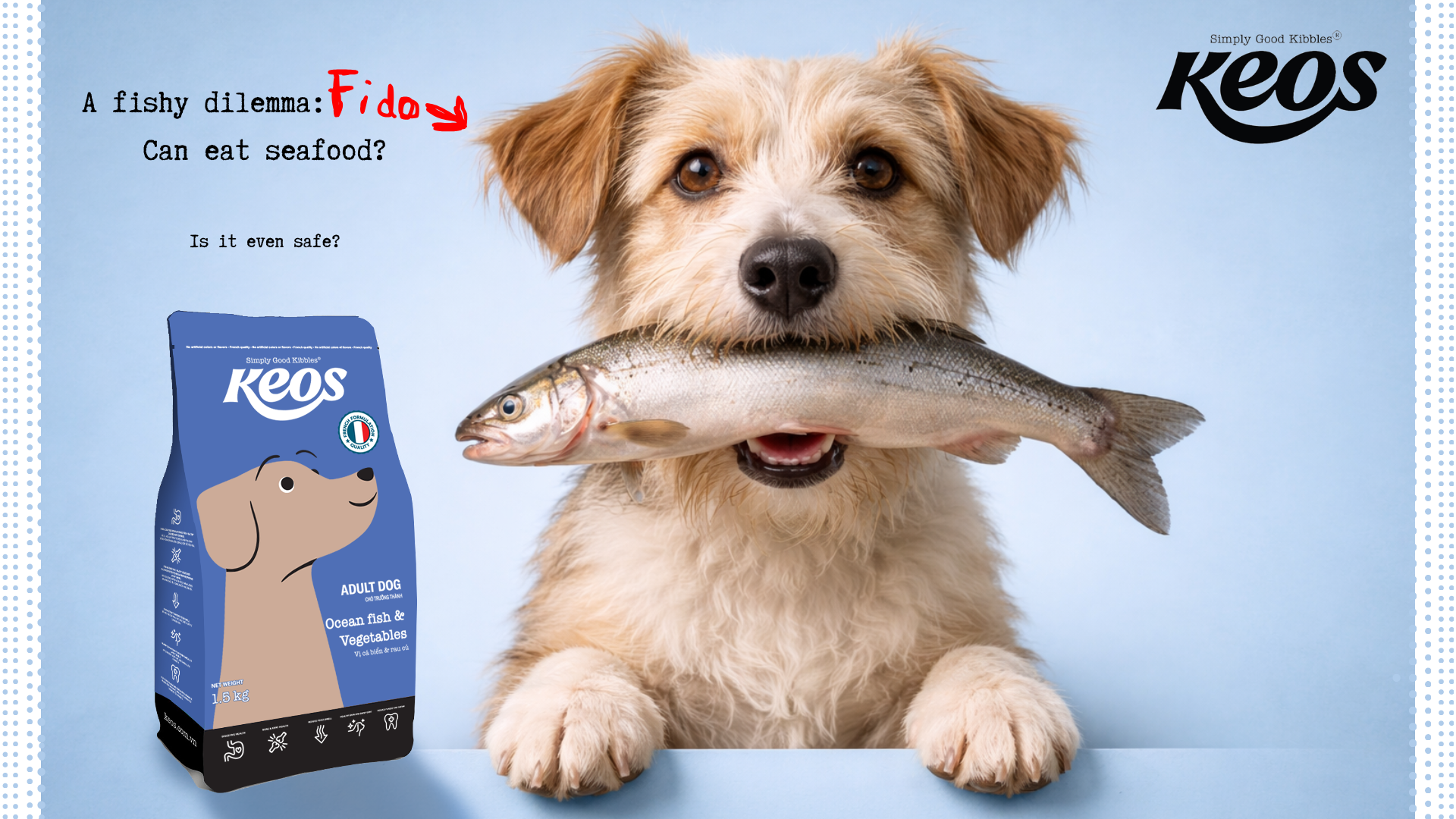 A fishy dilemma: Can dogs eat seafood?