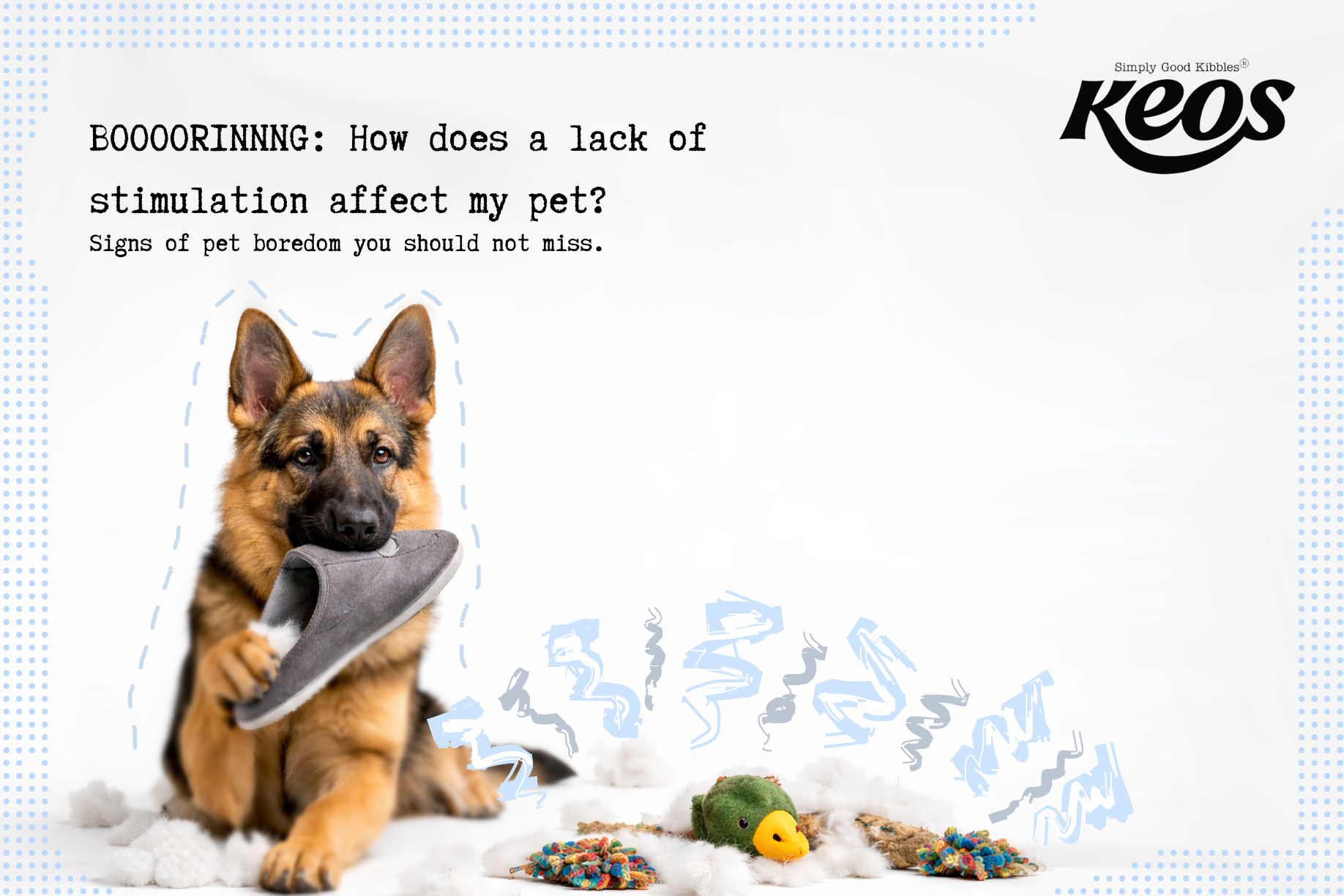 Boredom in pets: How a lack of stimulation affects their health