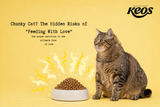 Are You Overfeeding Your Pet? The Hidden Risks of ‘Feeding with Love’