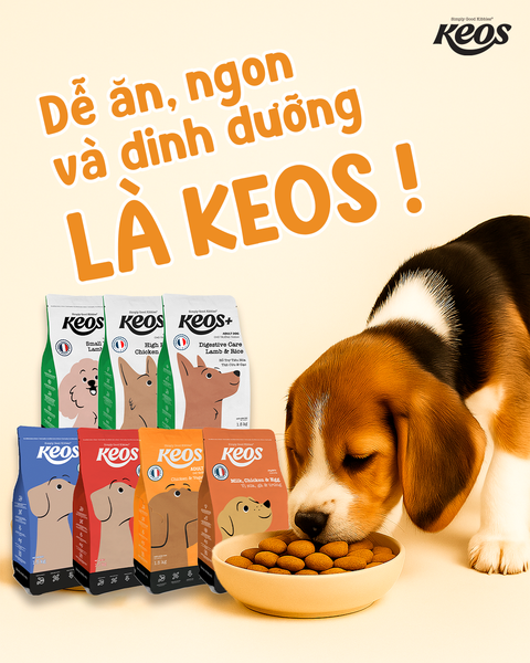 VÌ SAO HẠT KEOS LẠI NGON – MỀM – DỄ ĂN ĐẾN VẬY?