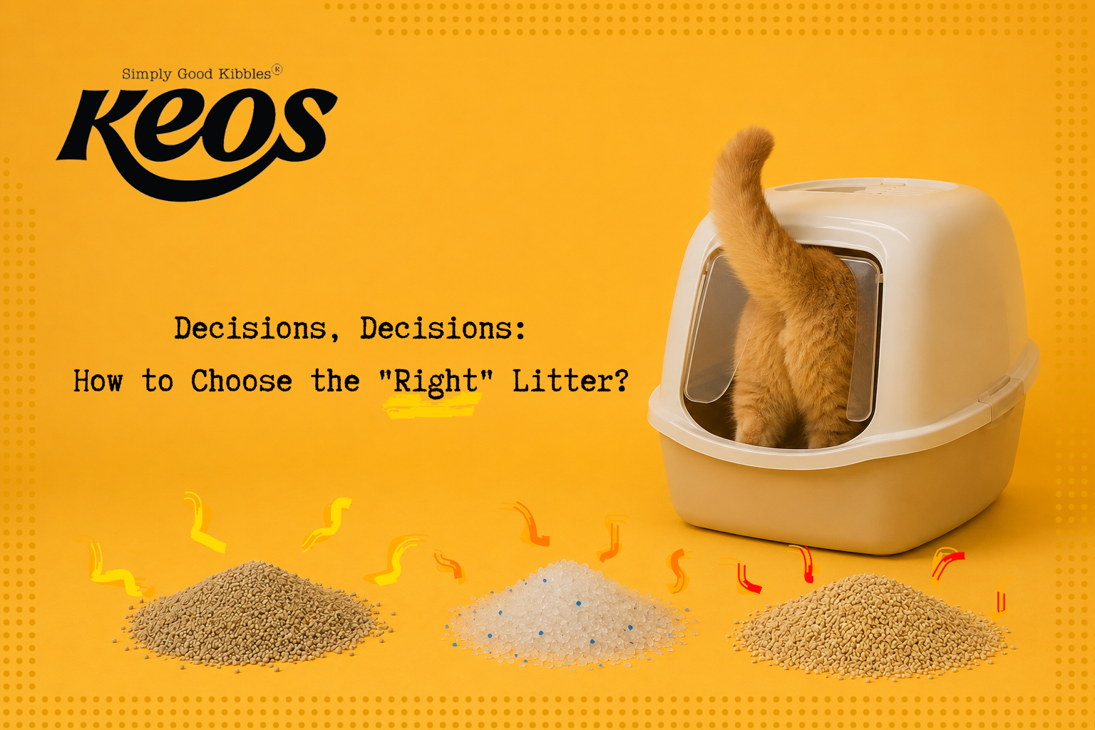 What Is The “Right” Litter For Your Cat?