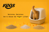 What Is The “Right” Litter For Your Cat?