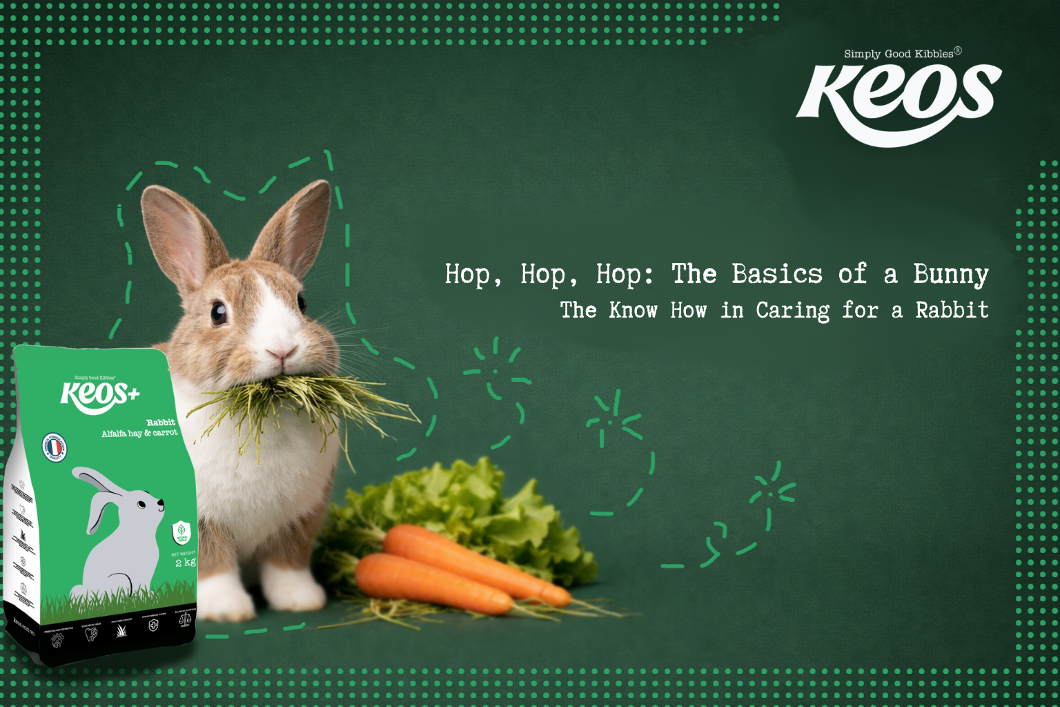 A Beginner's Guide to Raising Happy and Healthy Rabbits