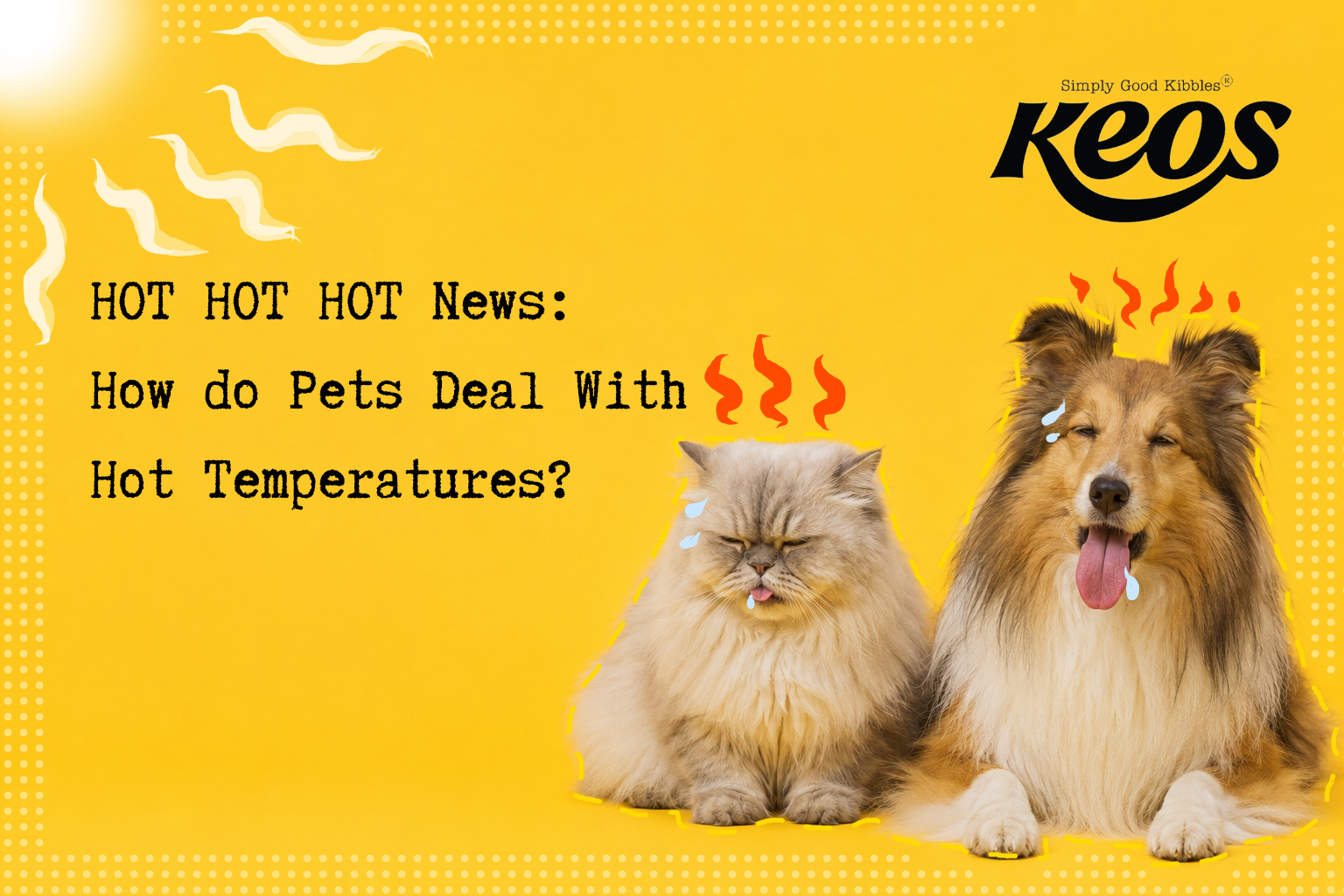 How do Pets Deal With Hot Temperatures?