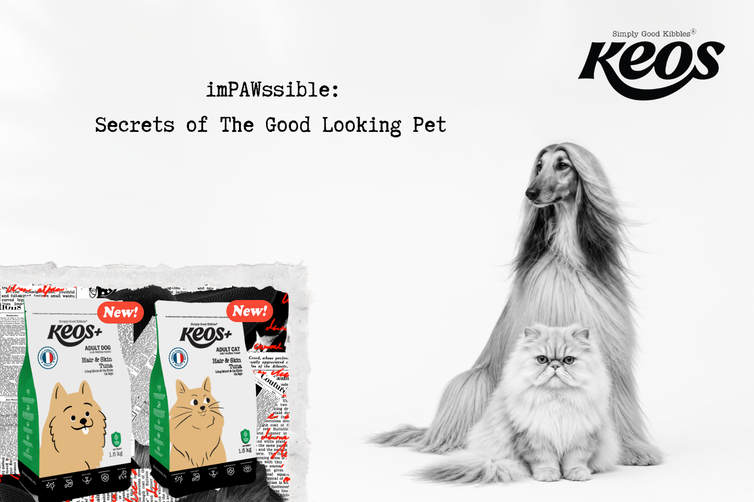 Flashy & Stylish: How Nutrition Helps Your Pet Look Their Best