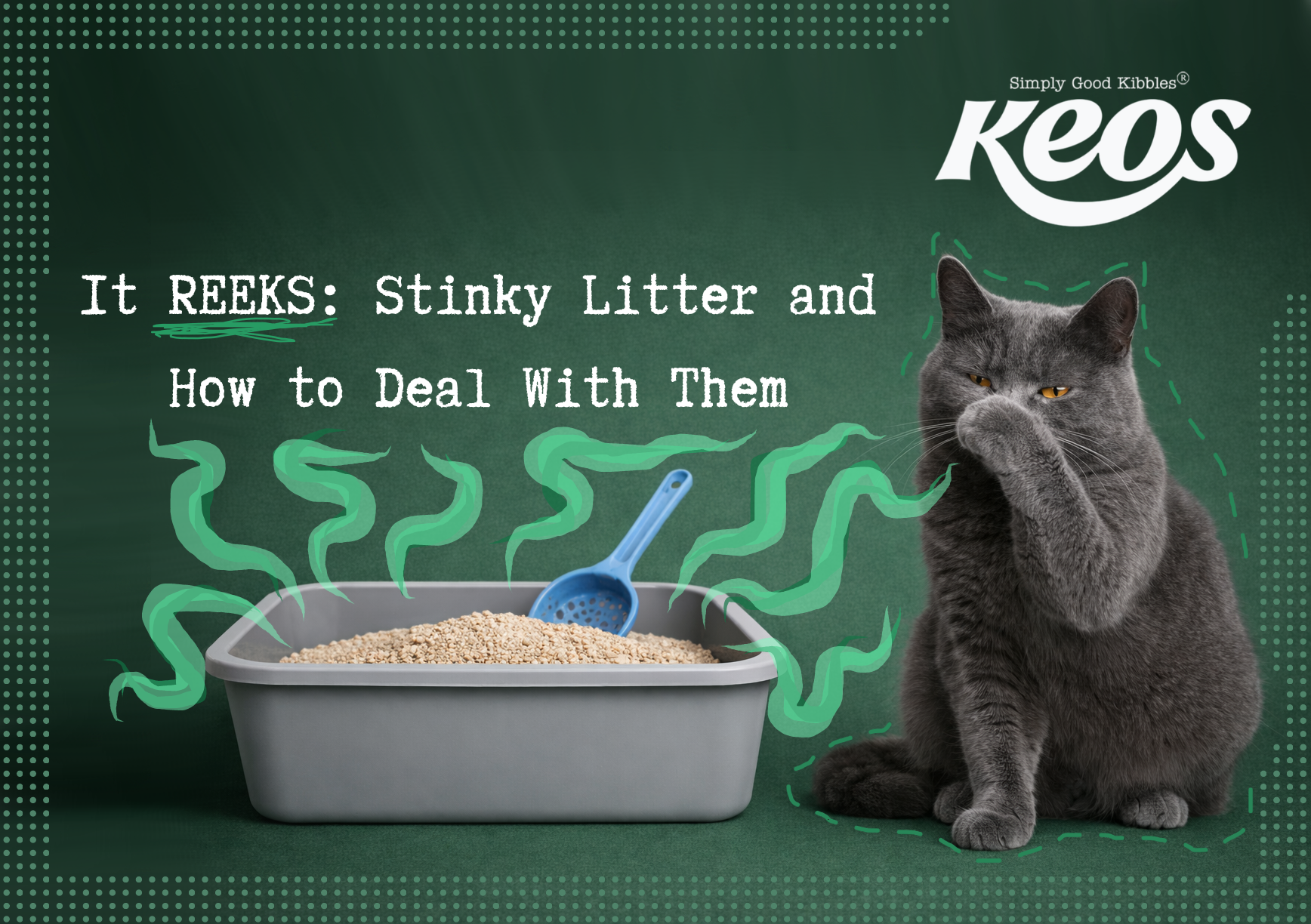 How to Stop Kitty Litter Odor