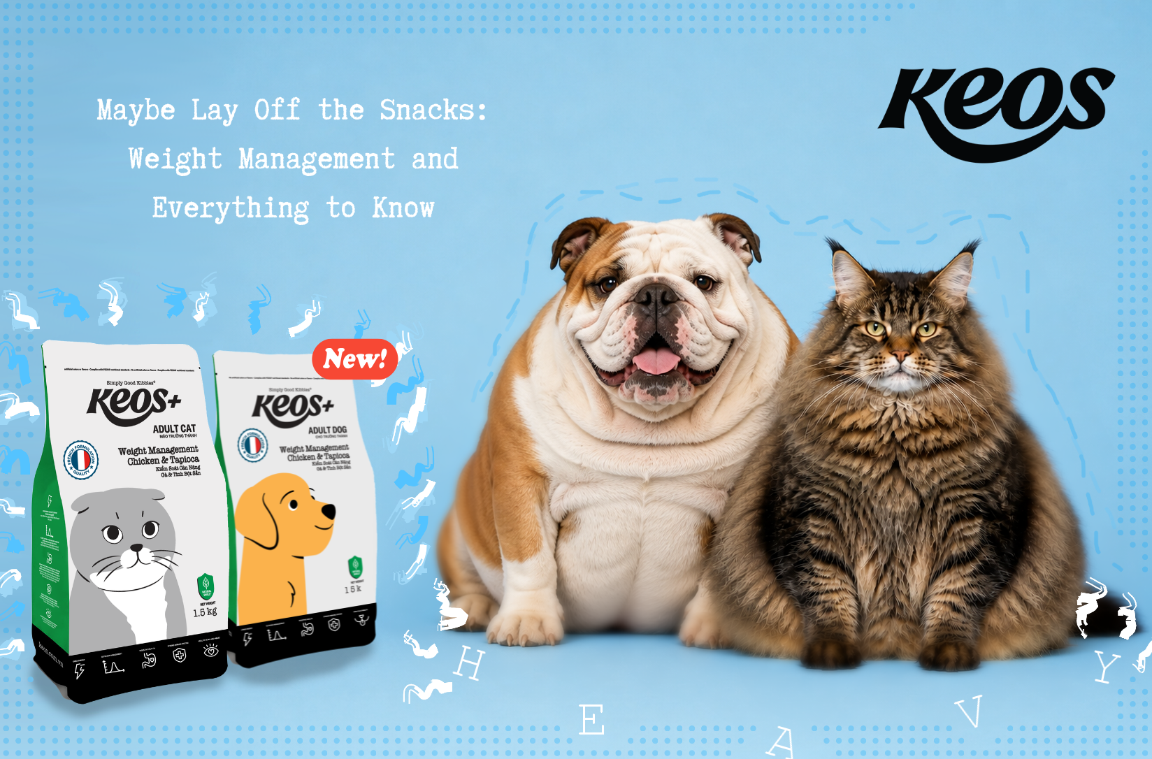 Managing Weight in Pets: All There is to Know