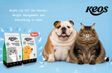 Managing Weight in Pets: All There is to Know