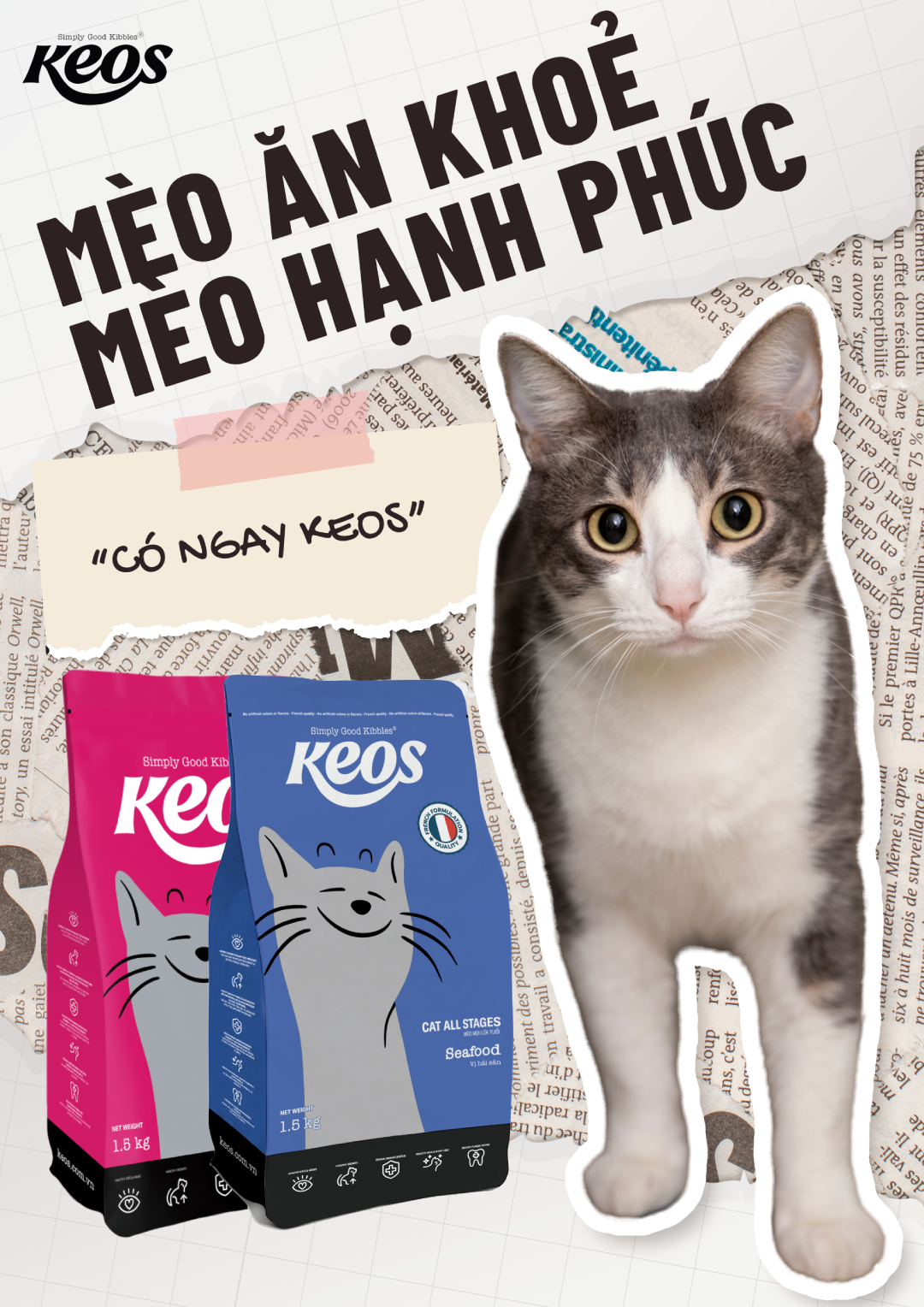 Mèo ăn khỏe – Mèo hạnh phúc