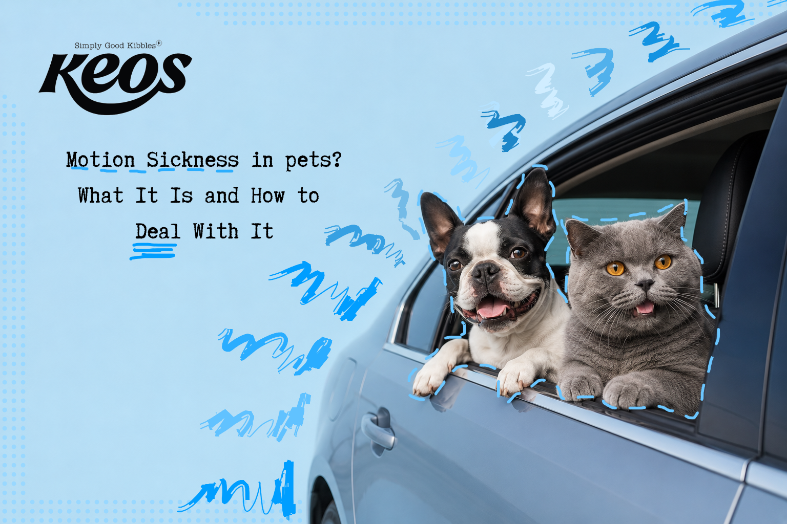 Can Your Dogs and Cats Get Motion Sickness?