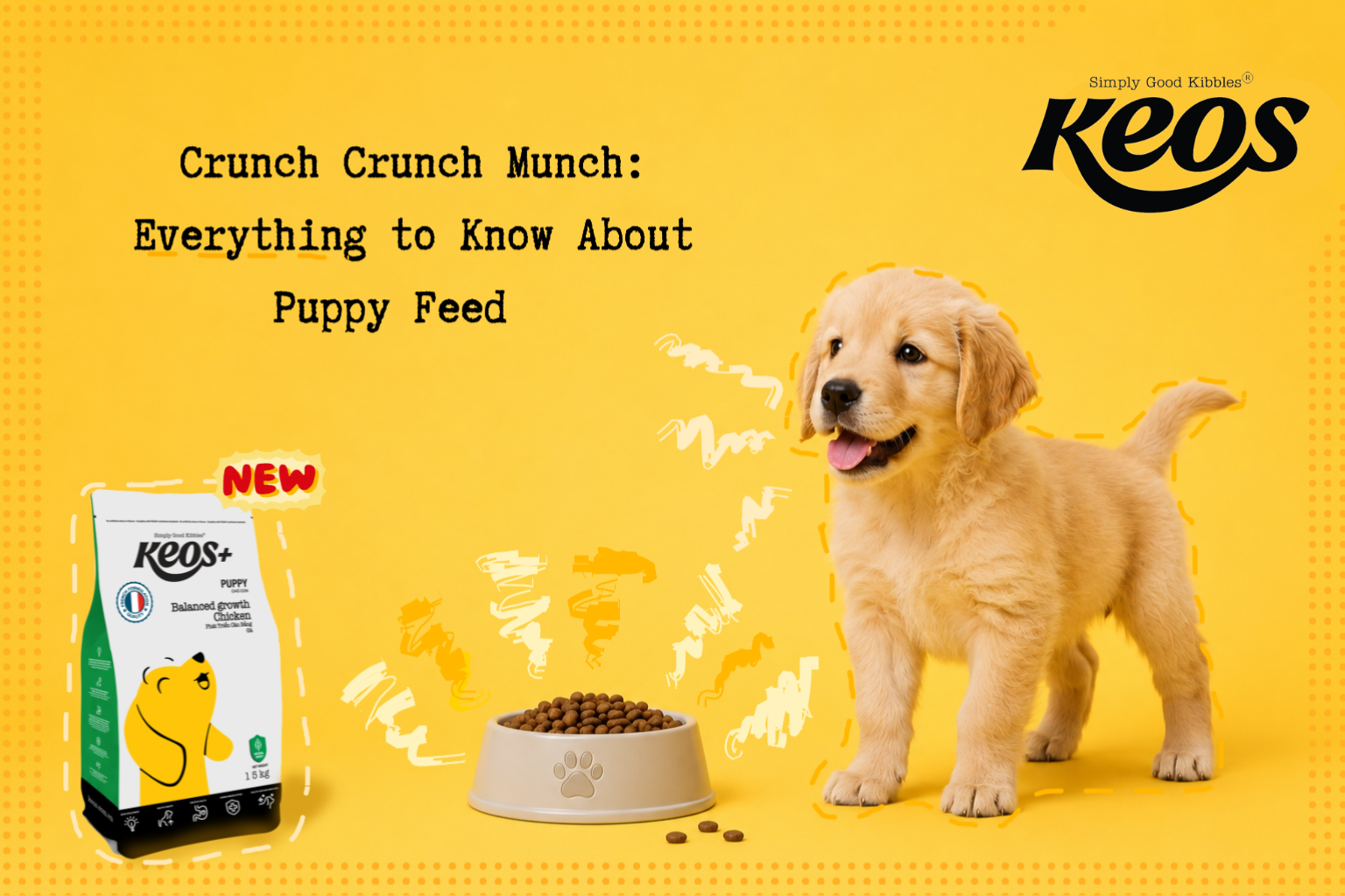 What Do Puppies Need to Eat to Grow?