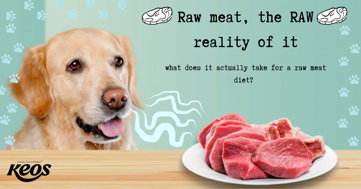 The Raw Reality: Is Raw Meat Actually Better for Dogs and Cats?