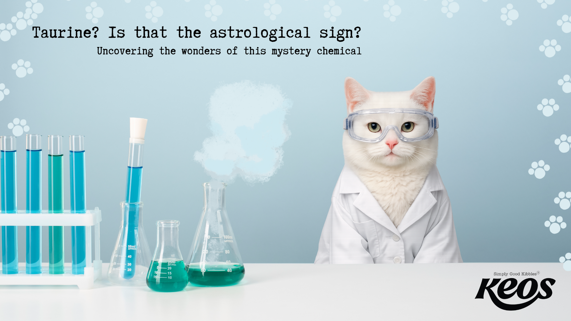 Taurine in Cat Nutrition: What It Is and Why It Matters