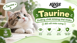 Taurine - Dưỡng chất không thể thiếu đối với mèo cưng