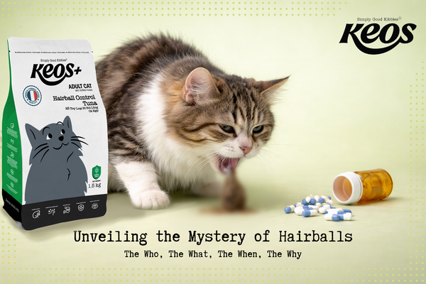 What Are Hairballs in Cats?