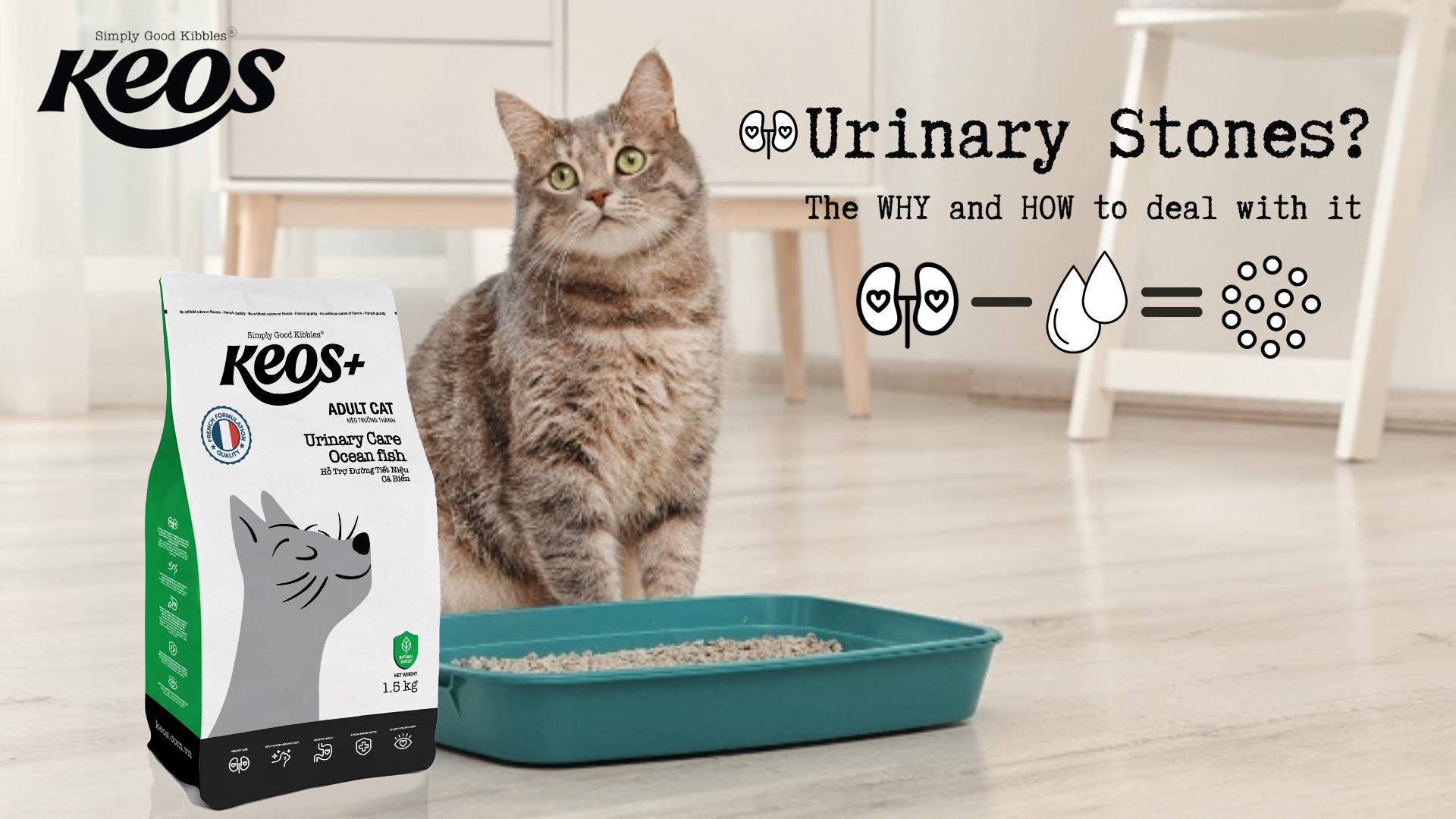 Understanding Urinary Stones in Cats and How Nutritional Support Can Help