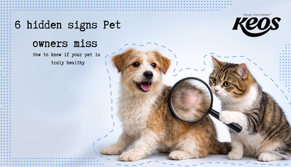 Is Your Pet Actually Healthy? Hidden Signs Owners Often Miss