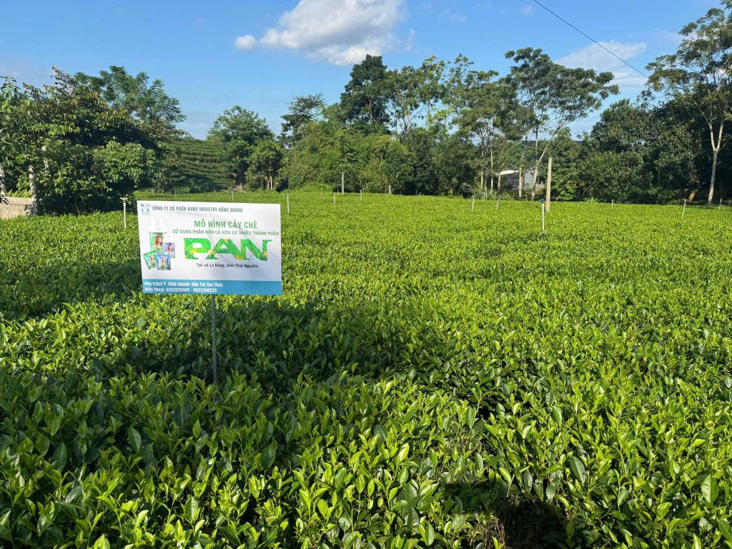 PHÂN BÓN LÁ HỮU CƠ PAN: CHIẾN LƯỢC KHÁC BIỆT HÓA TRONG CUỘC ĐUA NÔNG NGHIỆP BỀN VỮNG