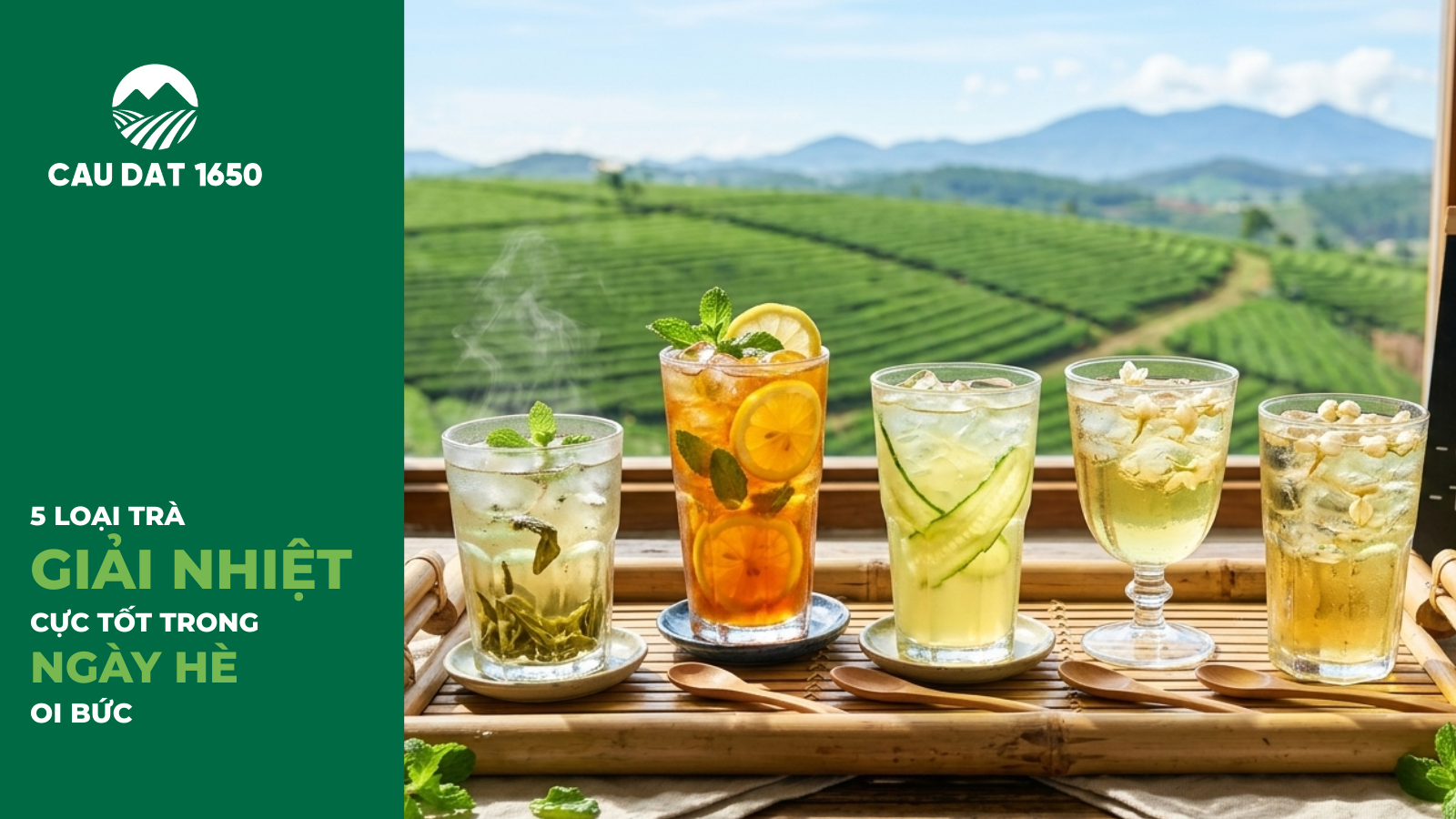5 Loại Trà Giải Nhiệt Cực Tốt Cho Mùa Hè Oi Bức