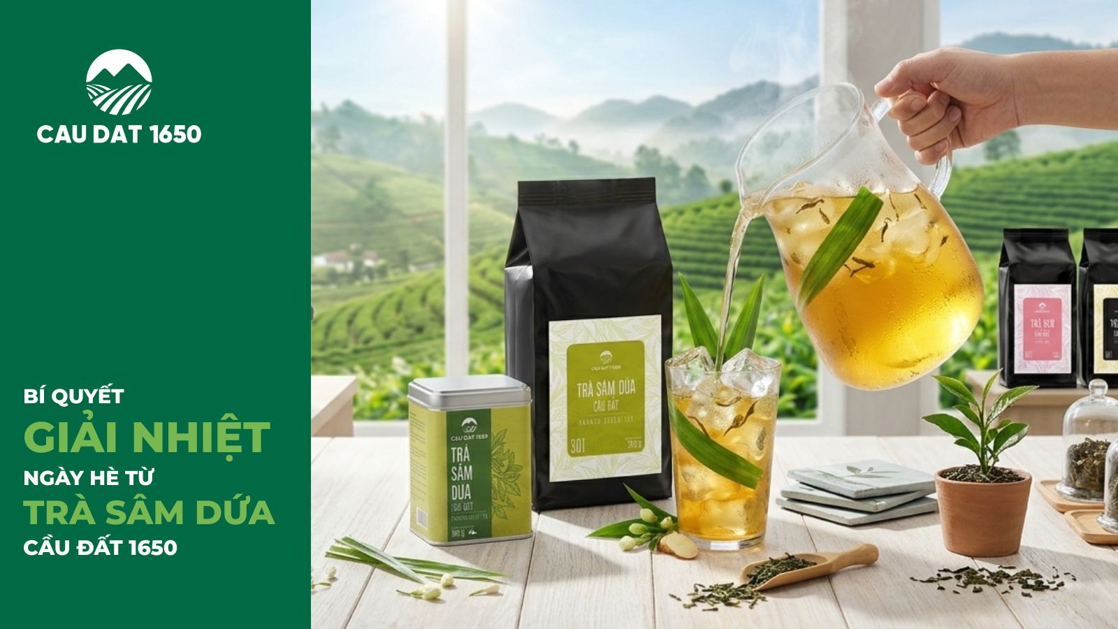 Trà Sâm Dứa Cầu Đất 1650: Bí Quyết Giải Nhiệt Thanh Mát Từ Cao Nguyên