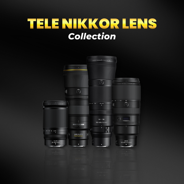 Top 4 Ống Kính Tele Nikkor Z Đáng Sở Hữu: Từ Thể Thao Kịch Tính Đến Động Vật Hoang Dã