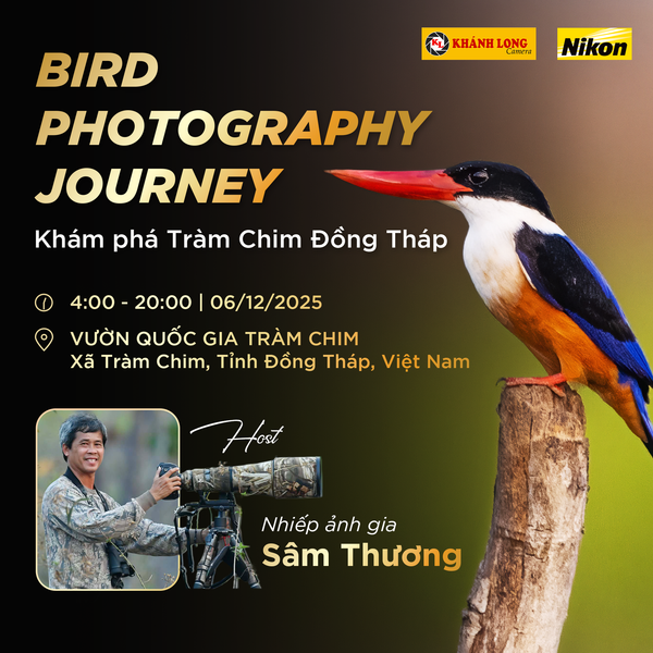 BIRD PHOTOGRAPHY JOURNEY 2025: KHÁM PHÁ TRÀM CHIM – ĐỒNG THÁP